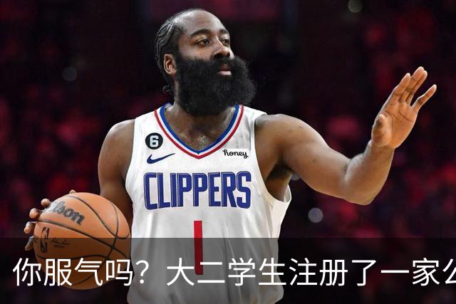 你服气吗？大二学生注册了一家公司，员工名单上只有他自己，而他一年营收达到了60万
