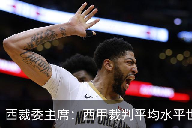 西裁委主席：西甲裁判平均水平世界最佳，误判难免